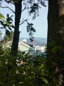 You can glimpse the Golden Gate Bridge through the trees from the top of the playground structure.