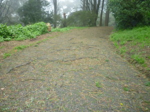 Combined with the debris after a rain, broken pavement makes walking hazardous.